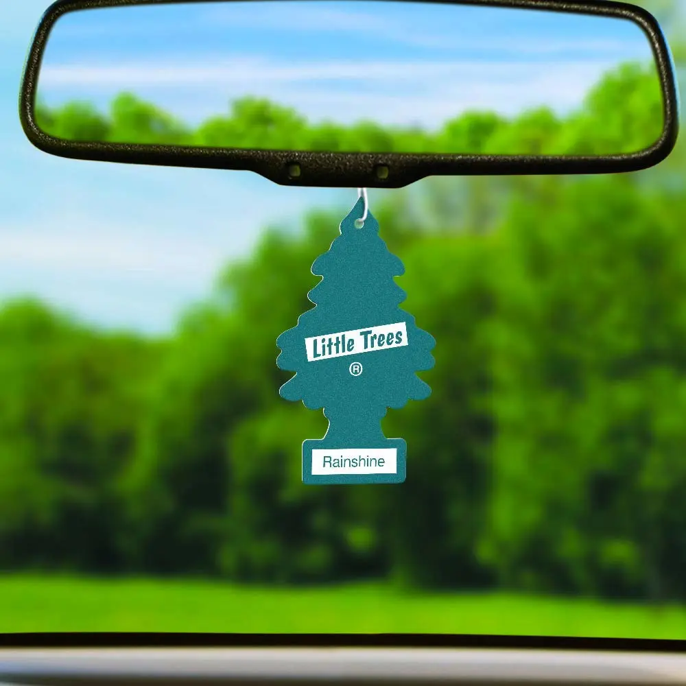 Little Trees Car Air Freshener 6-Pack (Rainshine)