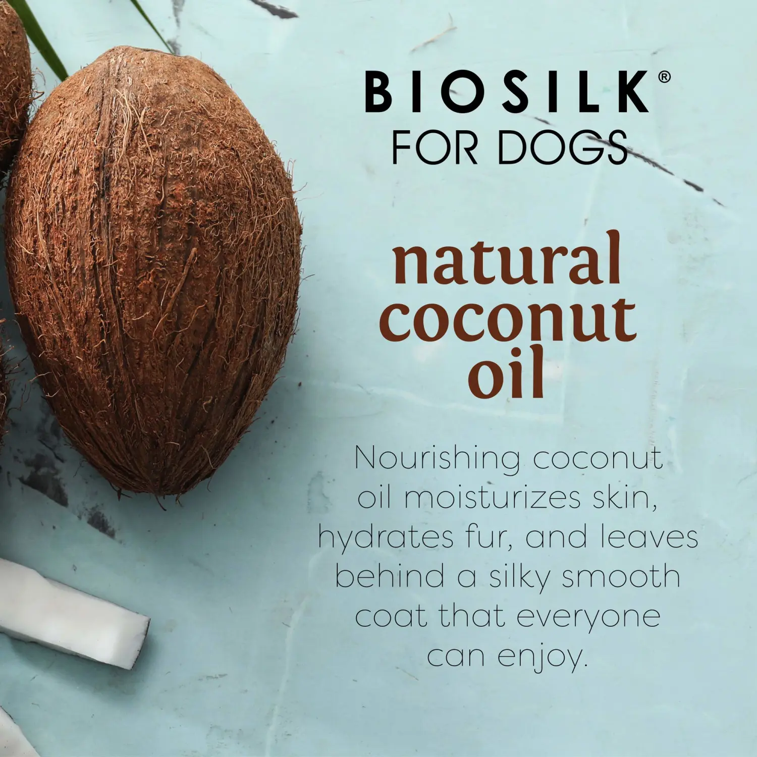 BioSilk for Dogs Silk Therapy Shampoo with Natural Coconut Oil, Moisturizing Dog Shampoo, Sulfate and Paraben Free, pH Balanced Specifically for Dogs, Made in USA, 12 Fl Oz