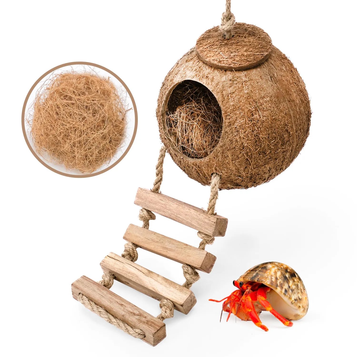 Hermit Crab Coconut Husk Hut with Branch Ladder,Coconut House Hermit Crab Shells Reptile Habitat,Coconut Nest Hangable Suitable for Animal Hiding Sleep (Coconut Shell with Fiber)
