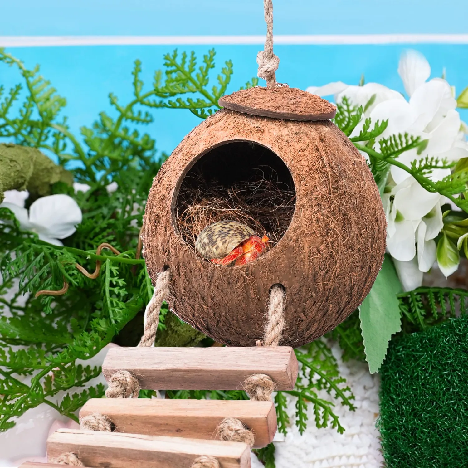 Hermit Crab Coconut Husk Hut with Branch Ladder,Coconut House Hermit Crab Shells Reptile Habitat,Coconut Nest Hangable Suitable for Animal Hiding Sleep (Coconut Shell with Fiber)