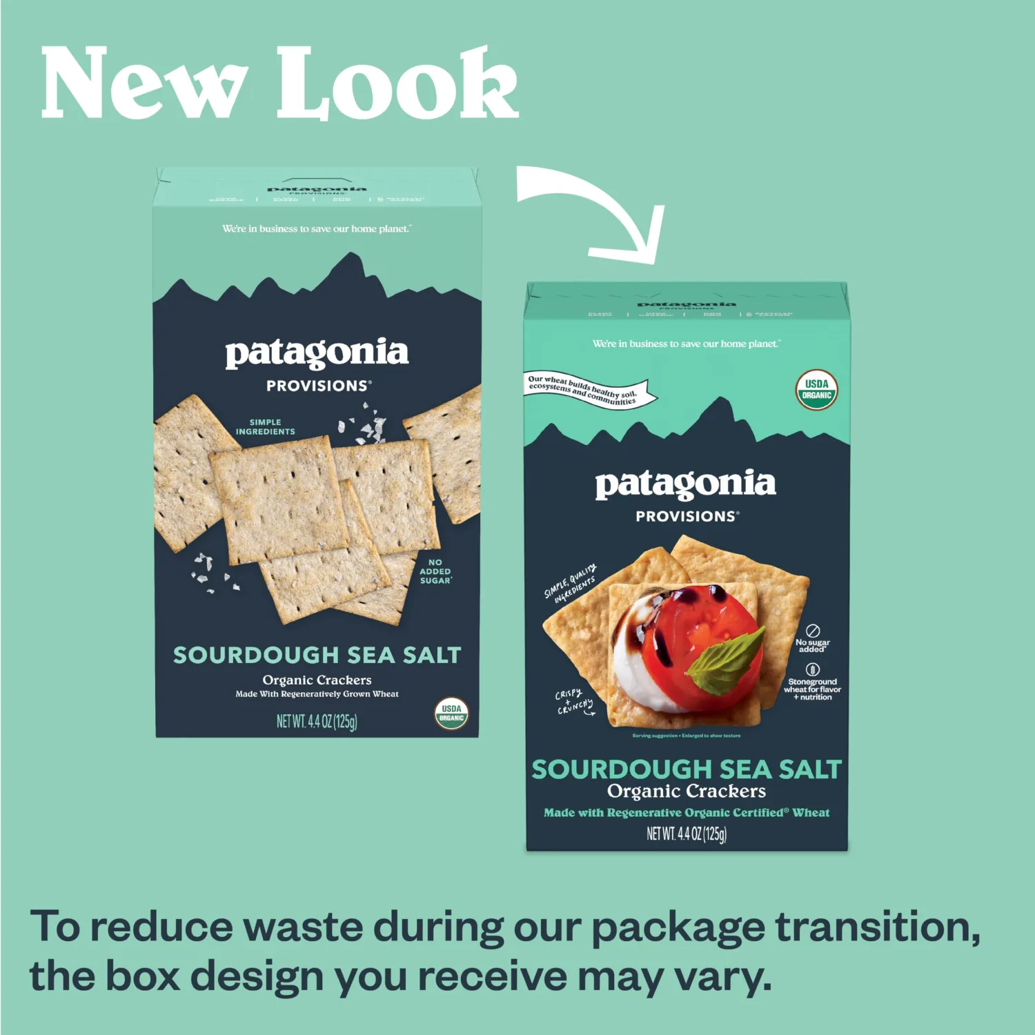 Patagonia Provisions - Sourdough Sea Salt - Certified Organic Crackers - Non-GMO, Plant-Based, No Added Sugar