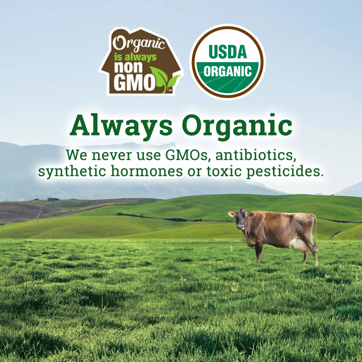 Organic Valley Organic Cream Cheese Block