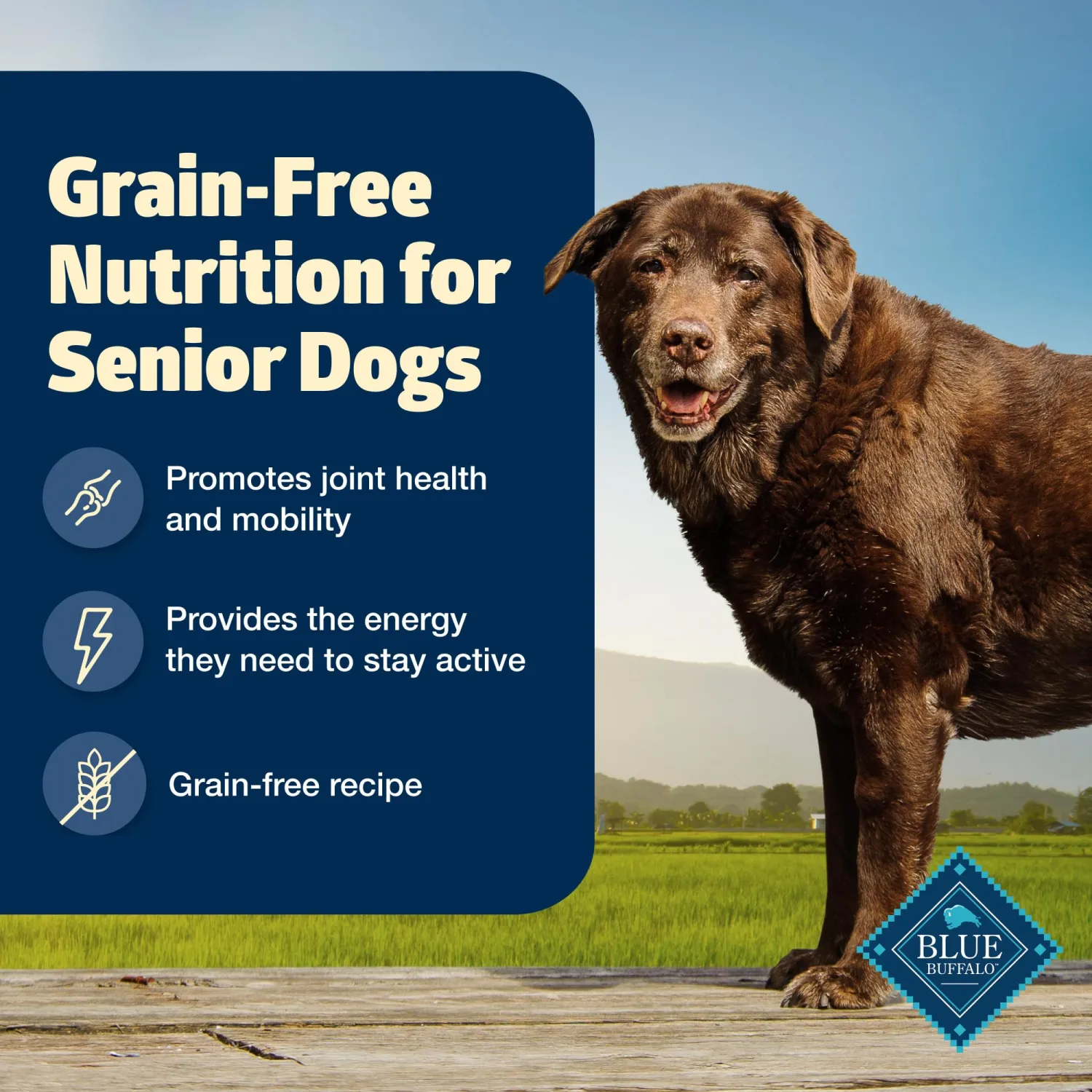 Blue Buffalo Freedom Grain-Free Senior Dry Dog Food, Provides Energy To Stay Active, Made in the USA With Natural Ingredients, Chicken & Potatoes, 4-lb. Bag