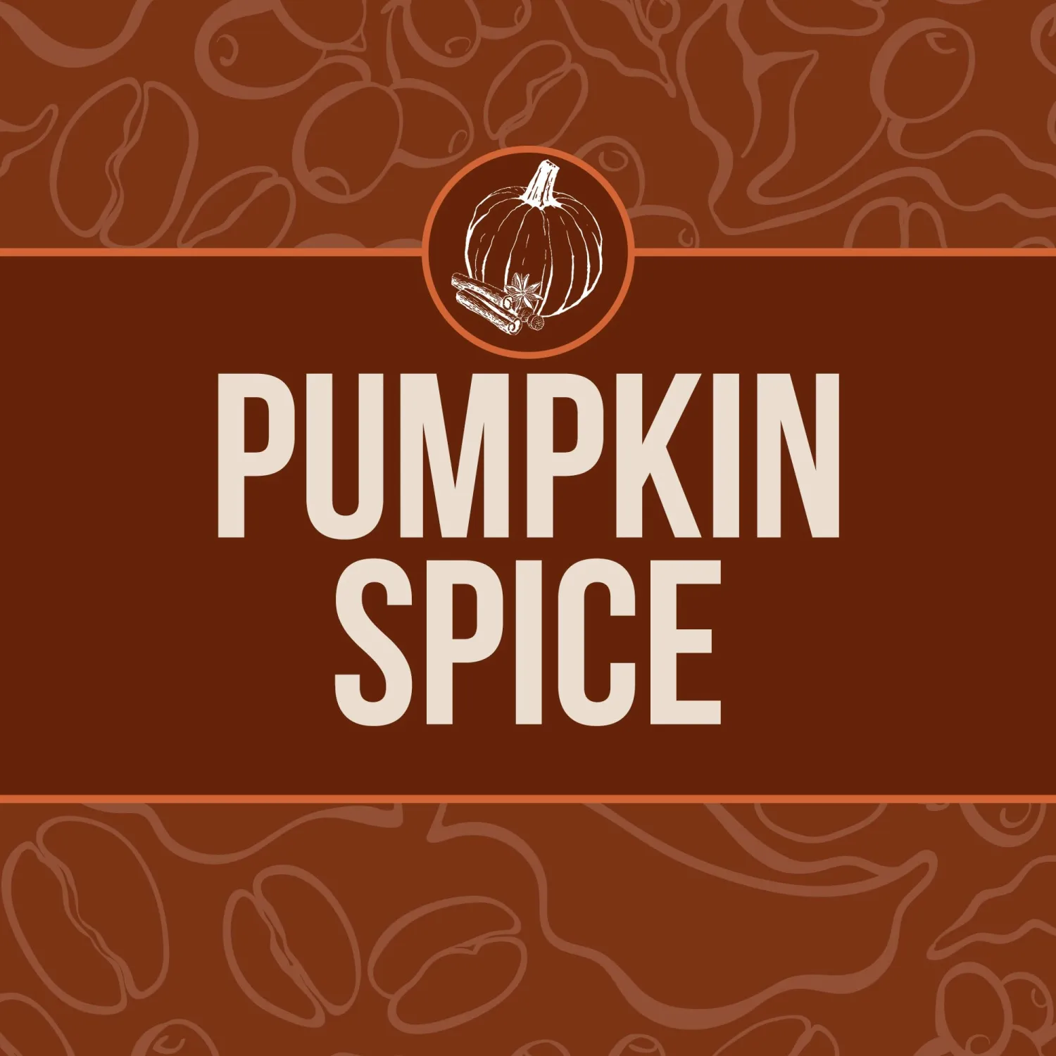 Boston’s Best Gourmet Coffee – Pumpkin Spice Flavored Coffee – Medium Roast – Single Serve Coffee Pods, Compatible with Keurig Brewers – 12 Pods