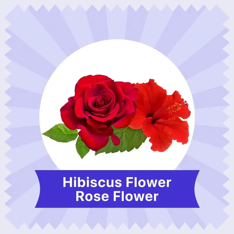 BLUE TEA - Hibiscus Rose Herbal Tea - 36 Tea Bags (Pack of 2) | FATHERS DAY GIFT | Caffeine-Free | Hibiscus + Rose | Direct From Source - Plant-Based Biodegradable Tea Bag | Tin Packing…