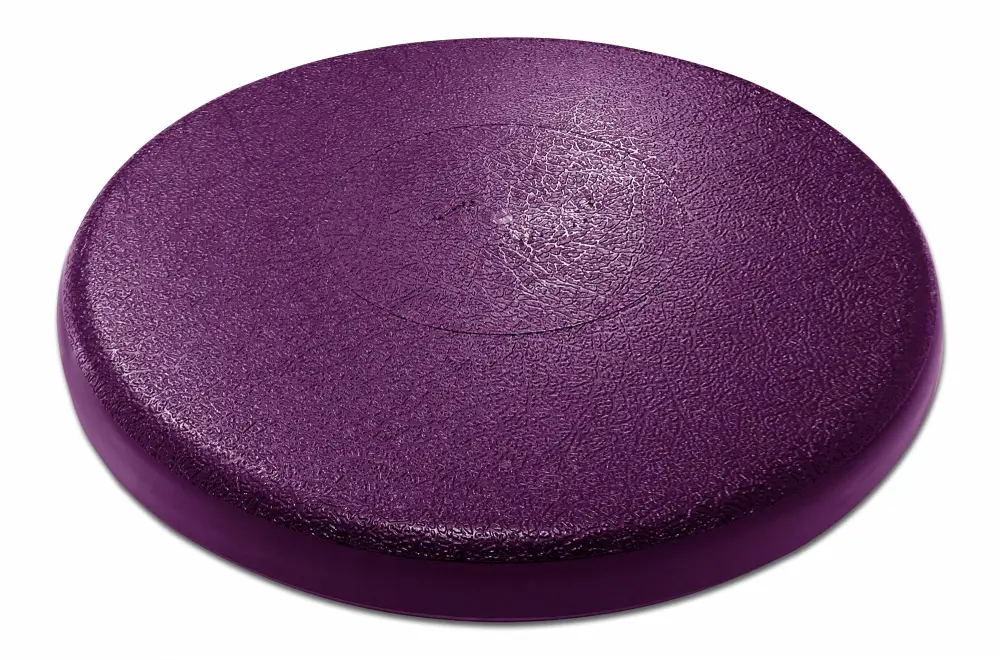 Purple Bucket Lid by Bucket Lidz