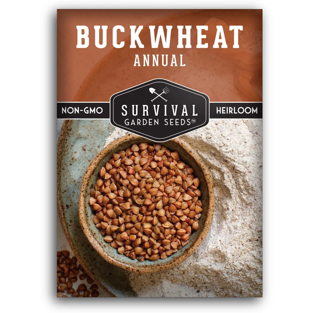 Survival Garden Seeds Buckwheat Seed for Planting - 1 Packet with Instructions to Plant & Grow a Cover Crop & Buckwheat Grain Plants in Your Home Vegetable Garden - Non-GMO Heirloom Variety