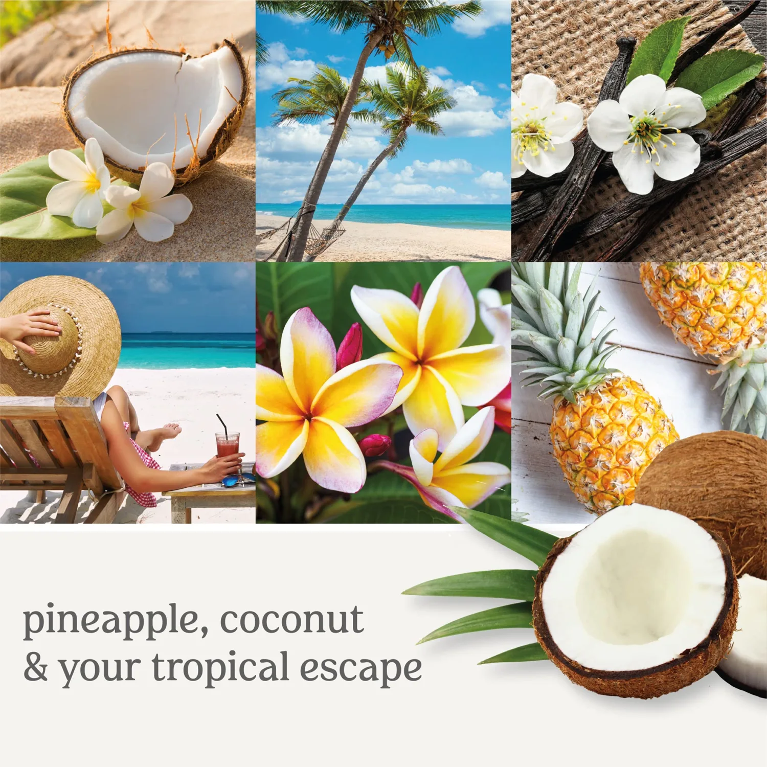 Yankee Candle Coconut Beach Scented, Signature 4.3oz Small Tumbler Single Wick Candle, Over 20 Hours of Burn Time