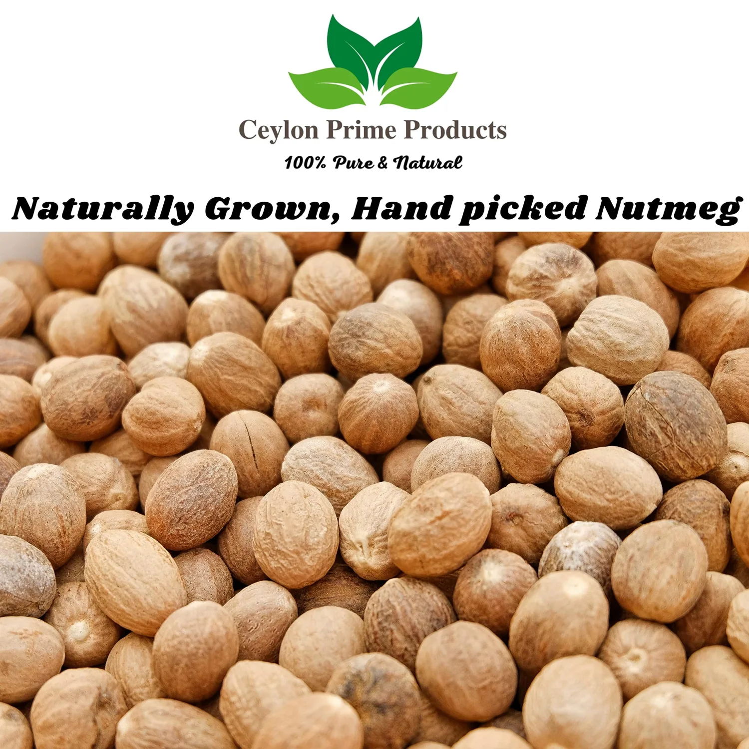 Nutmeg Whole by Ceylon Prime Products (2oz) | 100% Pure & Natural Premium Nutmeg from Sri Lanka | In a Resealable Bag | (~13 Count)
