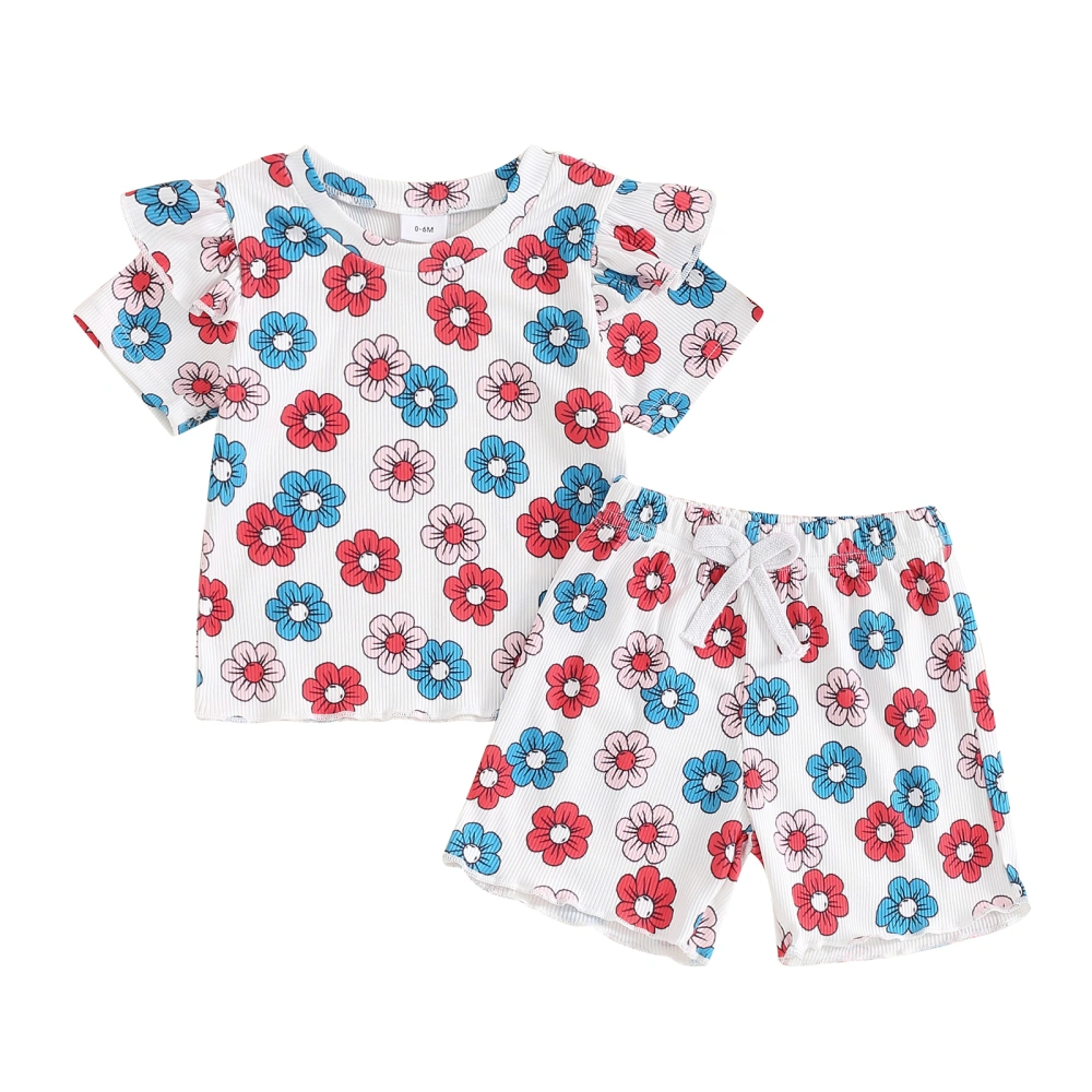 Baby Girls Shorts Set, Flower Print Short Sleeve T-shirt with Shorts