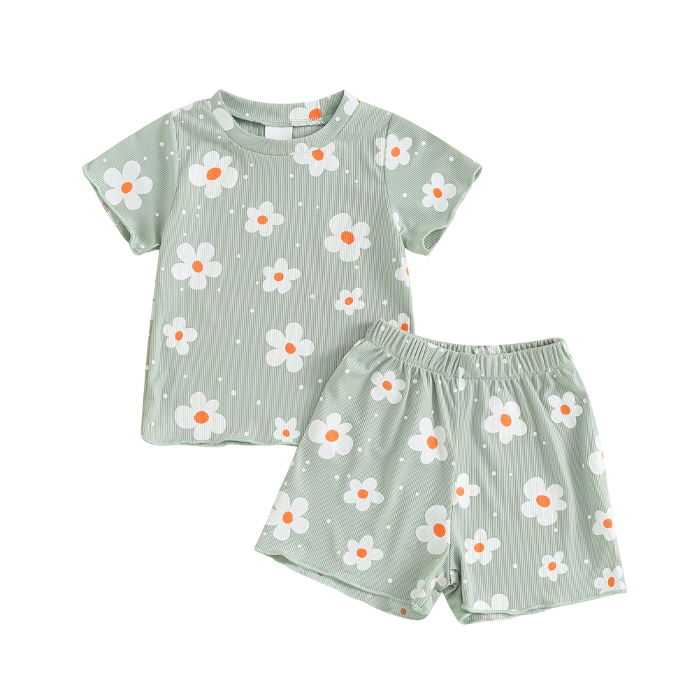 Girls Shorts Sets Short Sleeve Crewneck Floral Print Tops Shorts Sets