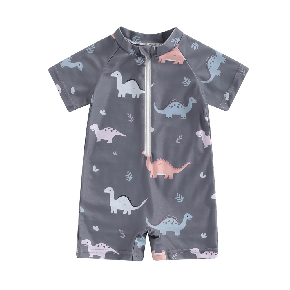 Baby Boy's Dinosaur Swimsuit Zip Up Short Sleeve Rash Guard Swimwear