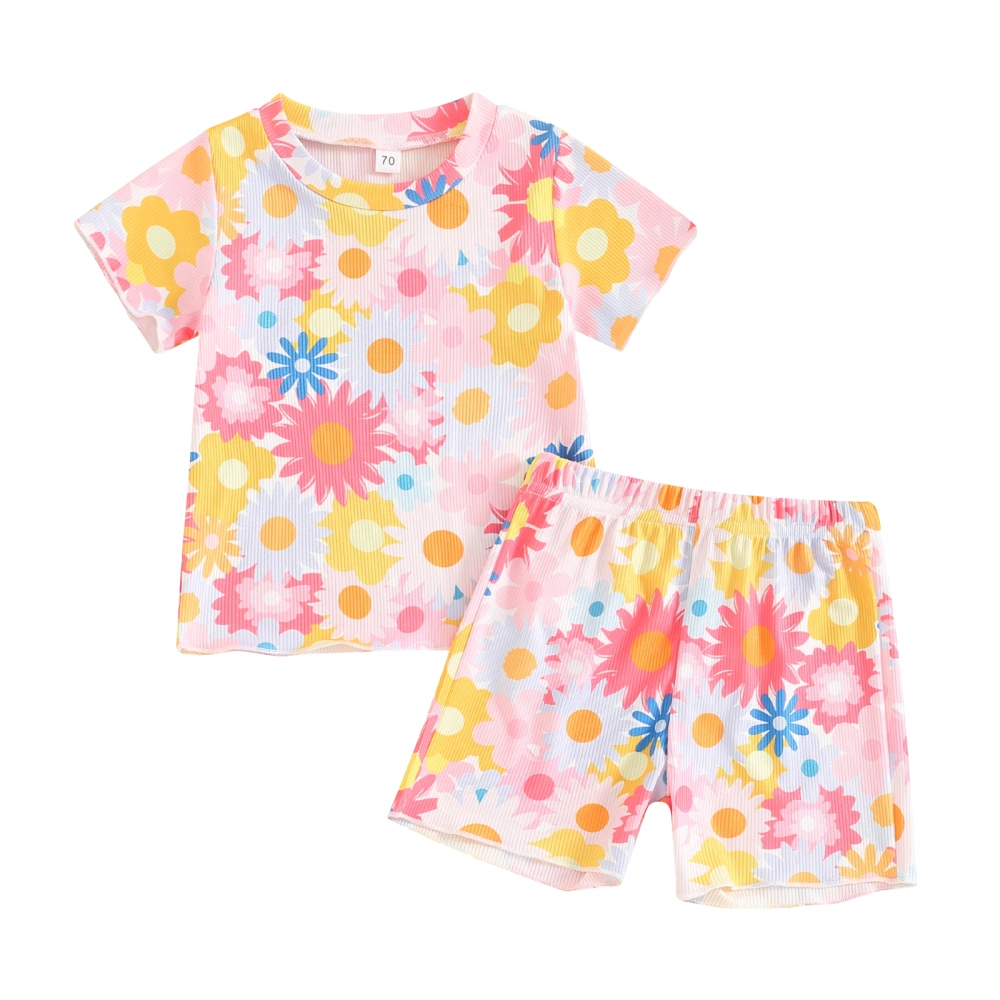 Toddler Girl Summer Outfit Flower Print Short Sleeve Tops Shorts