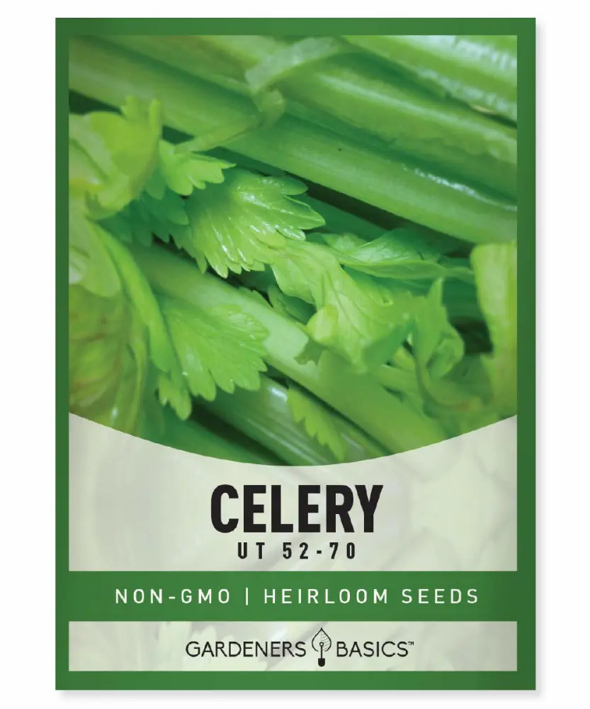 Gardeners Basics, Celery Seeds for Planting - UT 52-70 Variety Great Heirloom, Non-GMO Vegetable - 2,000 Seeds Great for Outdoor Spring, Winter, and Fall Gardening