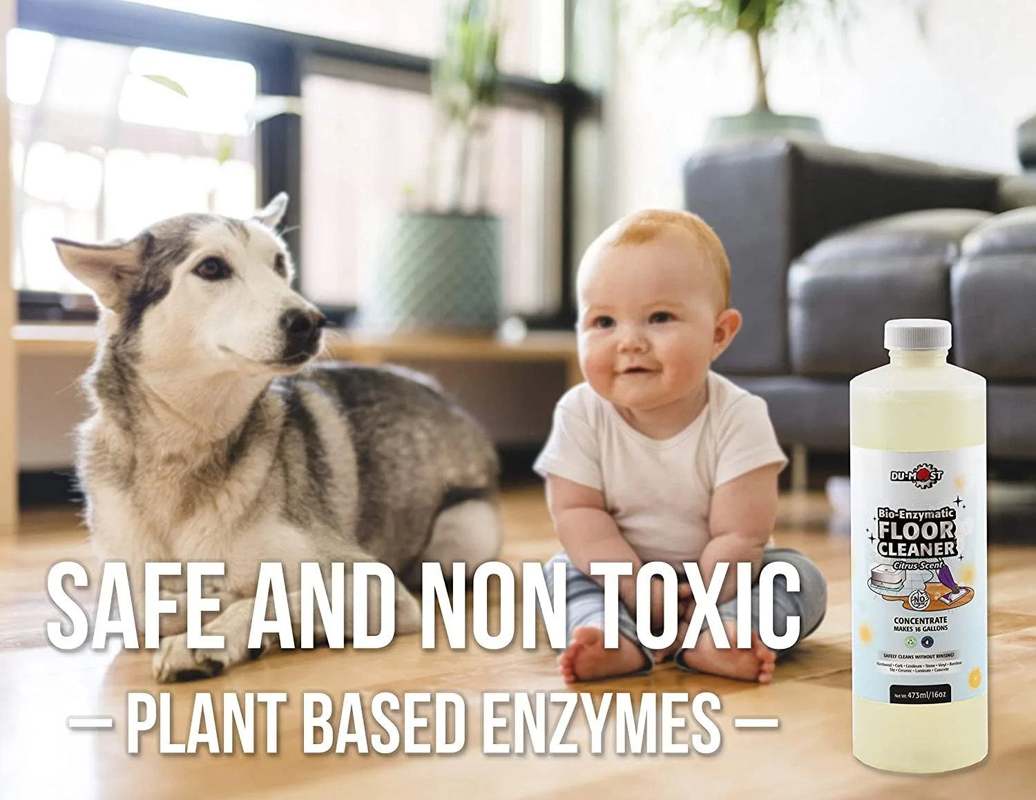 Enzymatic Floor Cleaner Concentrate (1 Oz Makes 1 Gal), No, Streak, No Rinsing, Kids & Pets Safe, Hard Surface Floors, Citrus Scent, 16 Fl Oz