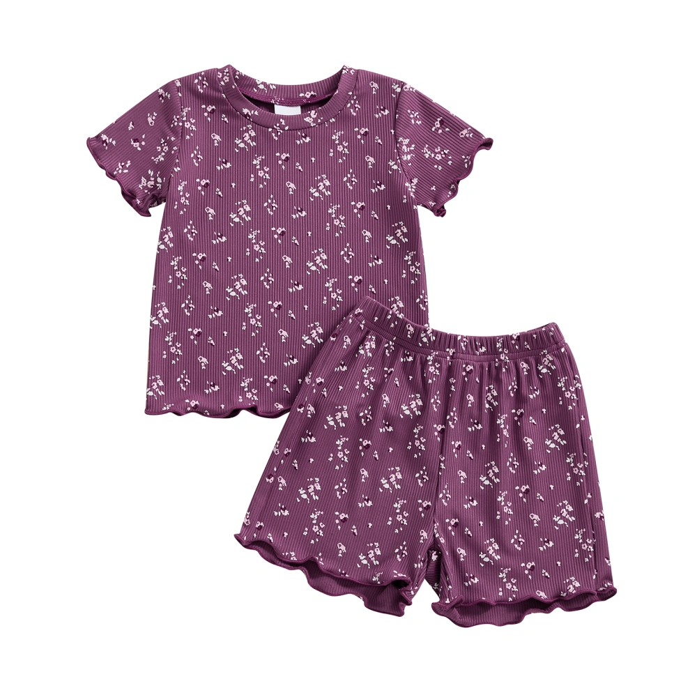 Toddler Girl Summer Outfit Floral Print Short Sleeve Tops and Shorts