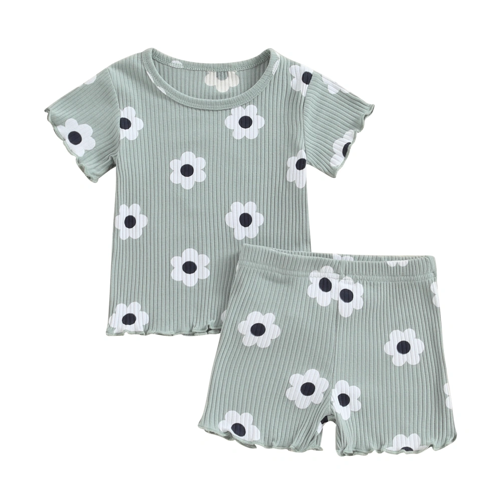 Baby Girl Summer Outfits Short Sleeve Flower Print Tops + Shorts Set