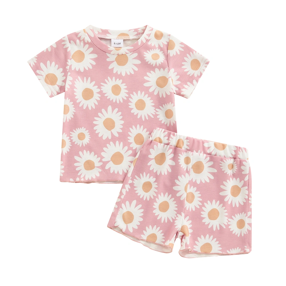 Baby Girl Summer Outfits Short Sleeve Crew Neck Floral Tops and Shorts