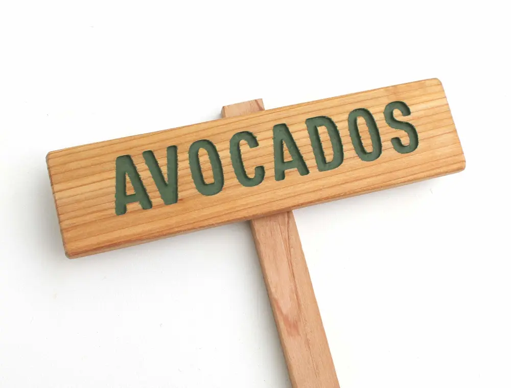 AVOCADOS Sign, Plant Signage, Tree Marker, Garden Sign, Outdoor Marker, Yard Art, Plant Label, Fruit Marker, Vegetable Sign, Flowering Plant