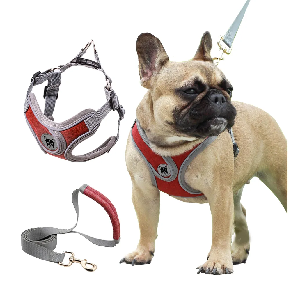 Dog Harness with Leash Set Mesh No Pull Reflective Escape Proof Walking Adjustable Step Soft Padded in Vest Harness X Shape for Small Medium Puppy Cat Red S