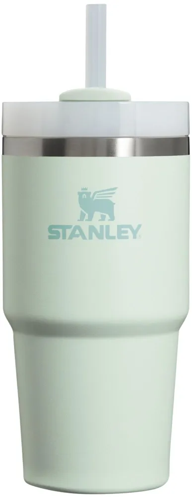 Stanley Quencher H2.0 Tumbler with Straw 20 oz | Twist On 3-Way Lid | Cupholder Compatible for Travel | Insulated Stainless Steel Cup | BPA-Free | Mist