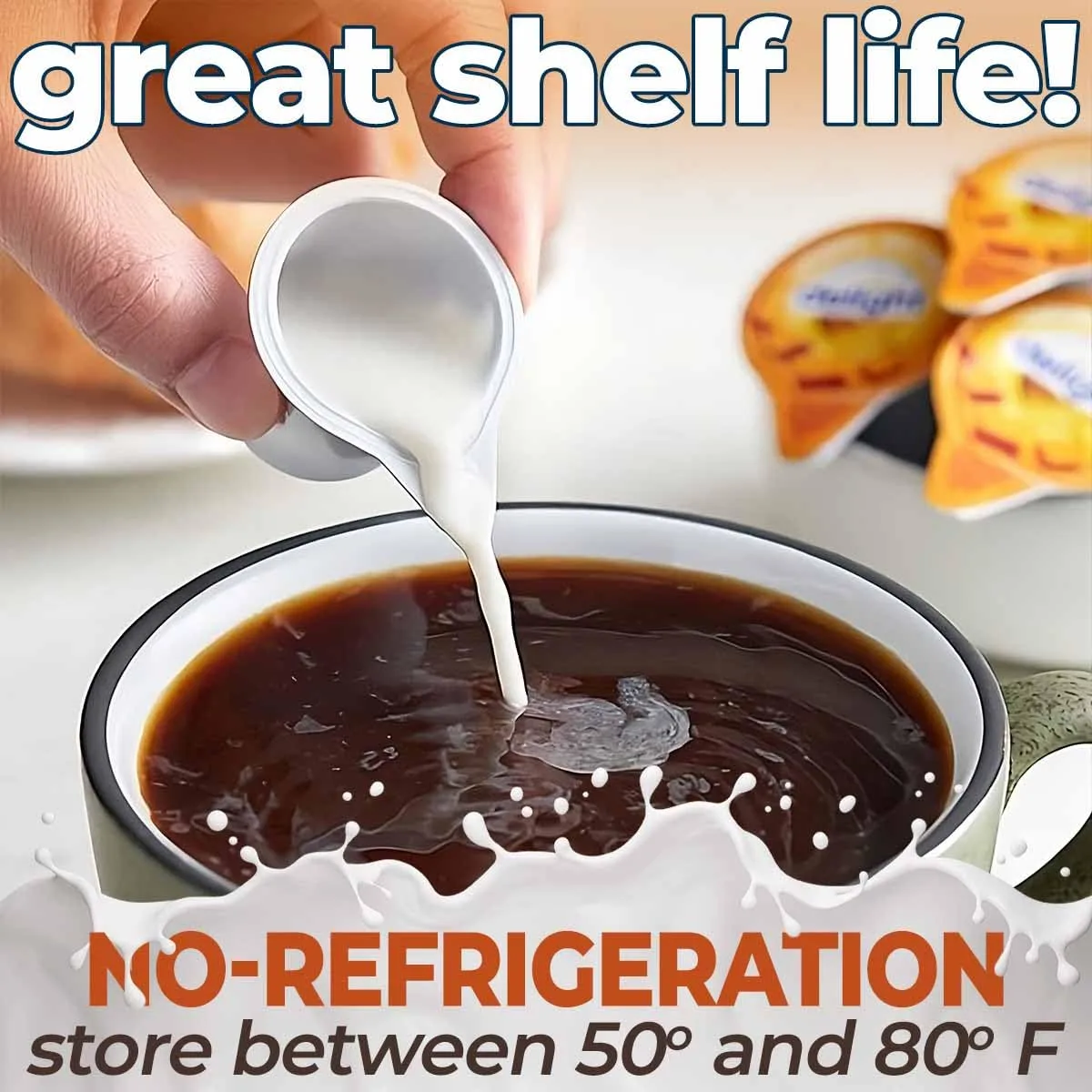 Coffee Creamer Singles Variety Pack - 48-Count Assorted Non Dairy Liquid Coffee Creamers - 4 Flavors: French Vanilla, Hazelnut, Caramel Macchiato & Half and Half - For International Delight Fans