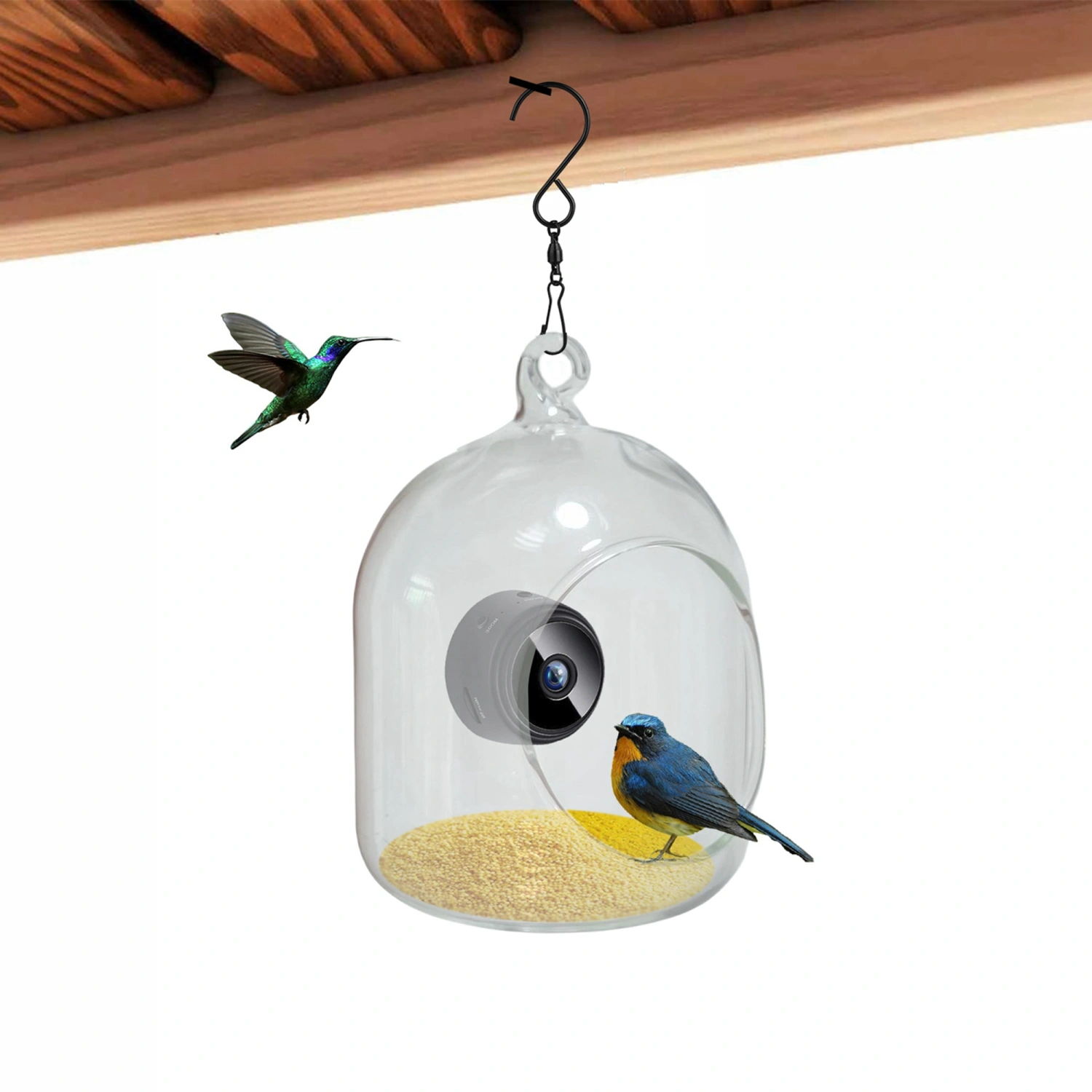 Hummingbird Feeder with Camera Bird House with Capture Bird Videos