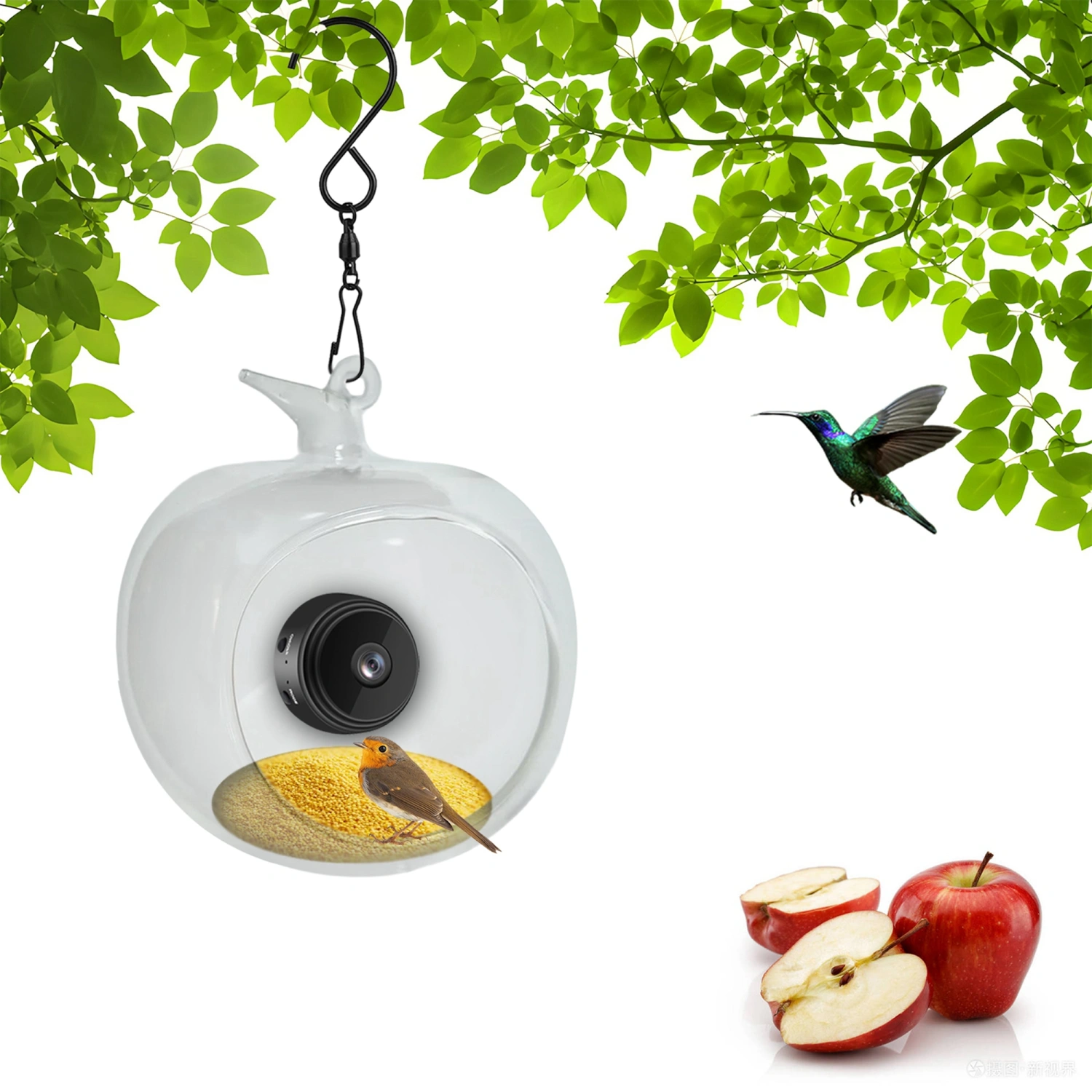 Hummingbird Feeder with Camera Bird House with Capture Bird Videos