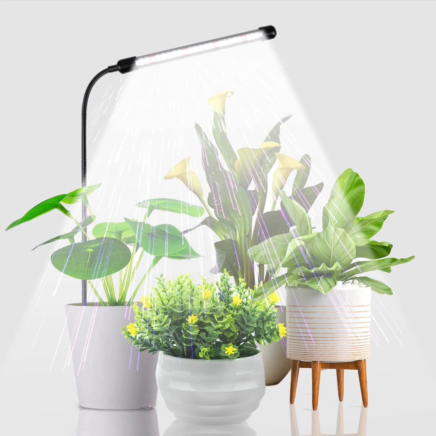 Plant Grow Light Full Spectrum LED Growing Light for Indoor Plant 