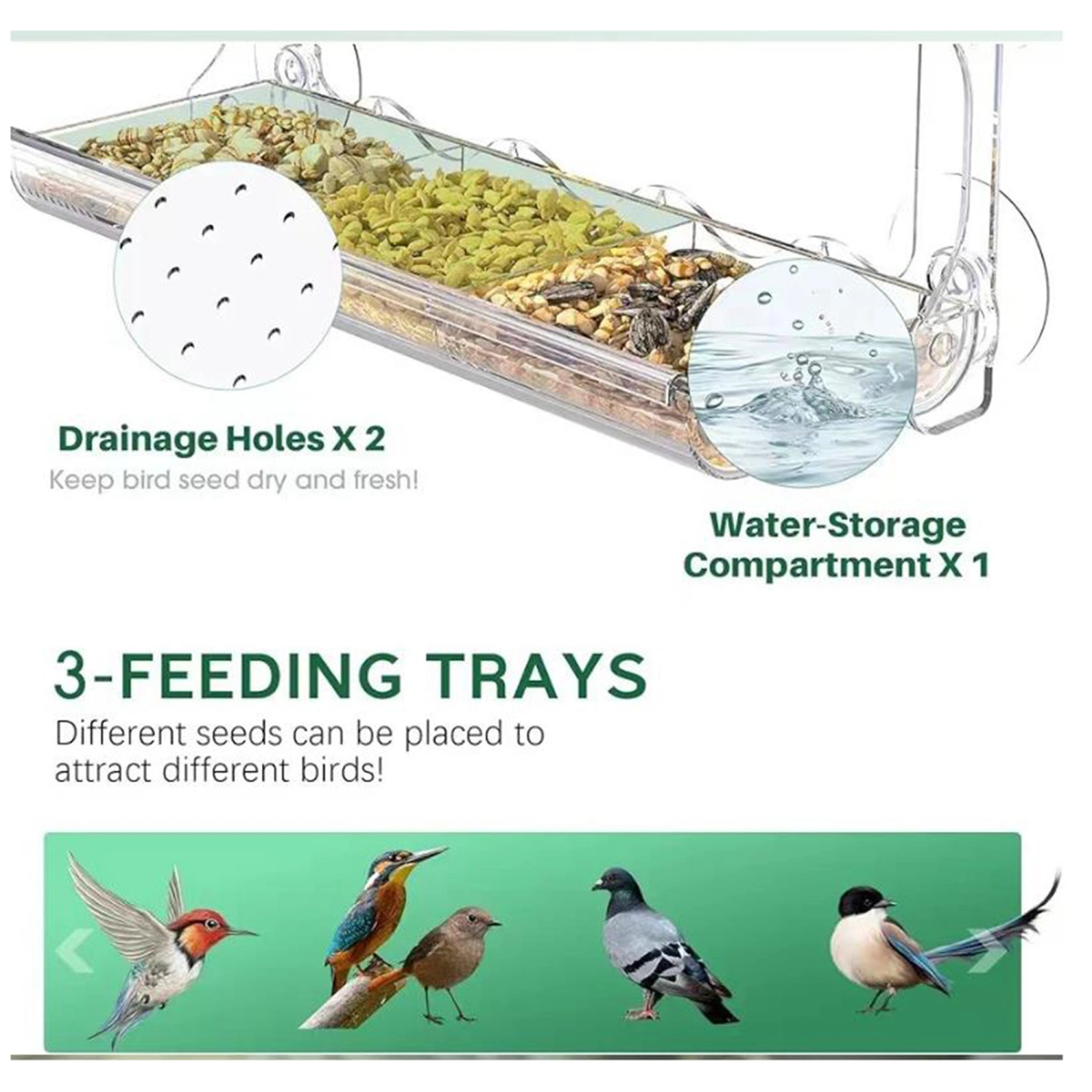 Window Bird Feeder with Suction Cups Clear Bird Feeders for Viewing 
