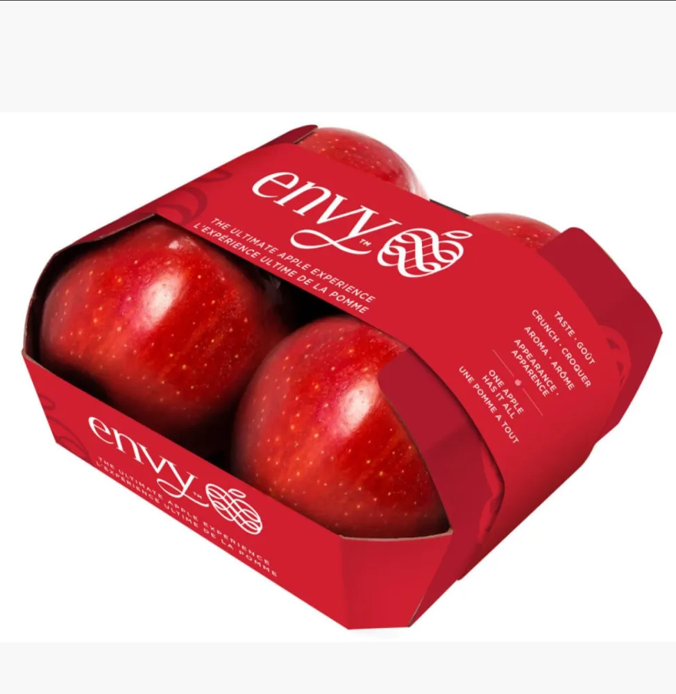 Envy Apples, 4 CT