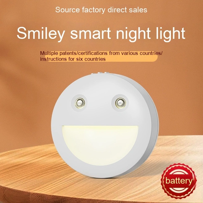 Fashion Smart Small Induction Night Lamp