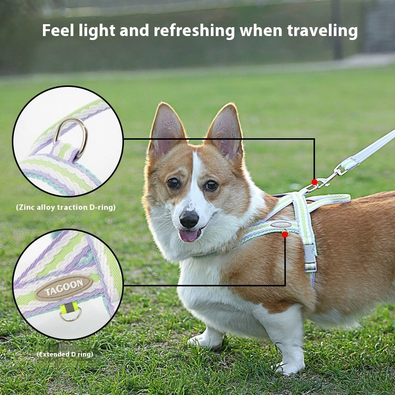 Dog Hand Holding Rope Portable Pet Harness