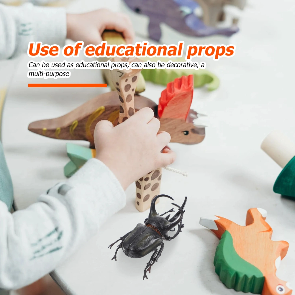 Beetle Insect Model Simulated Insect Model Insect Specimen Children Education Toy