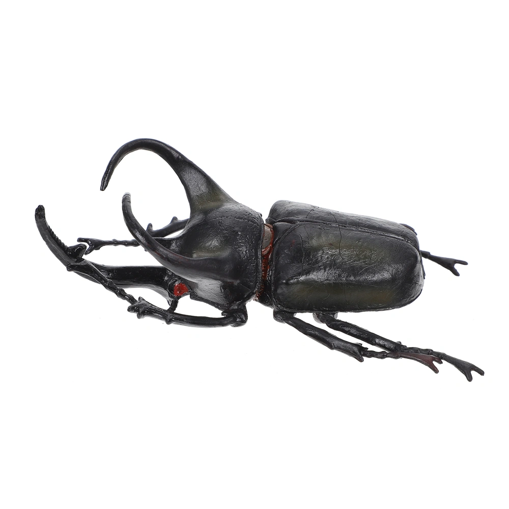 Beetle Insect Model Simulated Insect Model Insect Specimen Children Education Toy