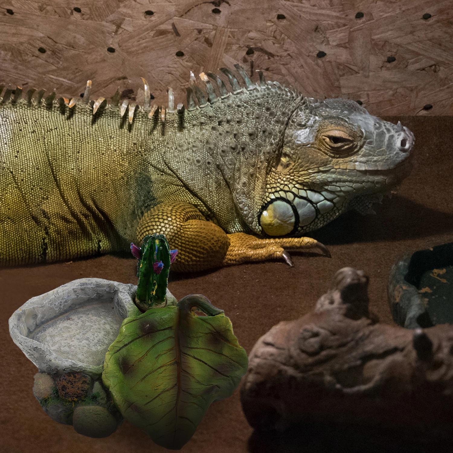 Crawling Pet Food Feeder Resin Reptile Food Feeder Lizard Water Supplies