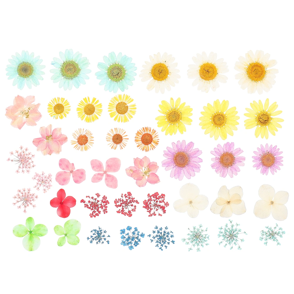 40pcs DIY Dried Flowers DIY Pressed Flowers Resin Mold Fillings Flowers