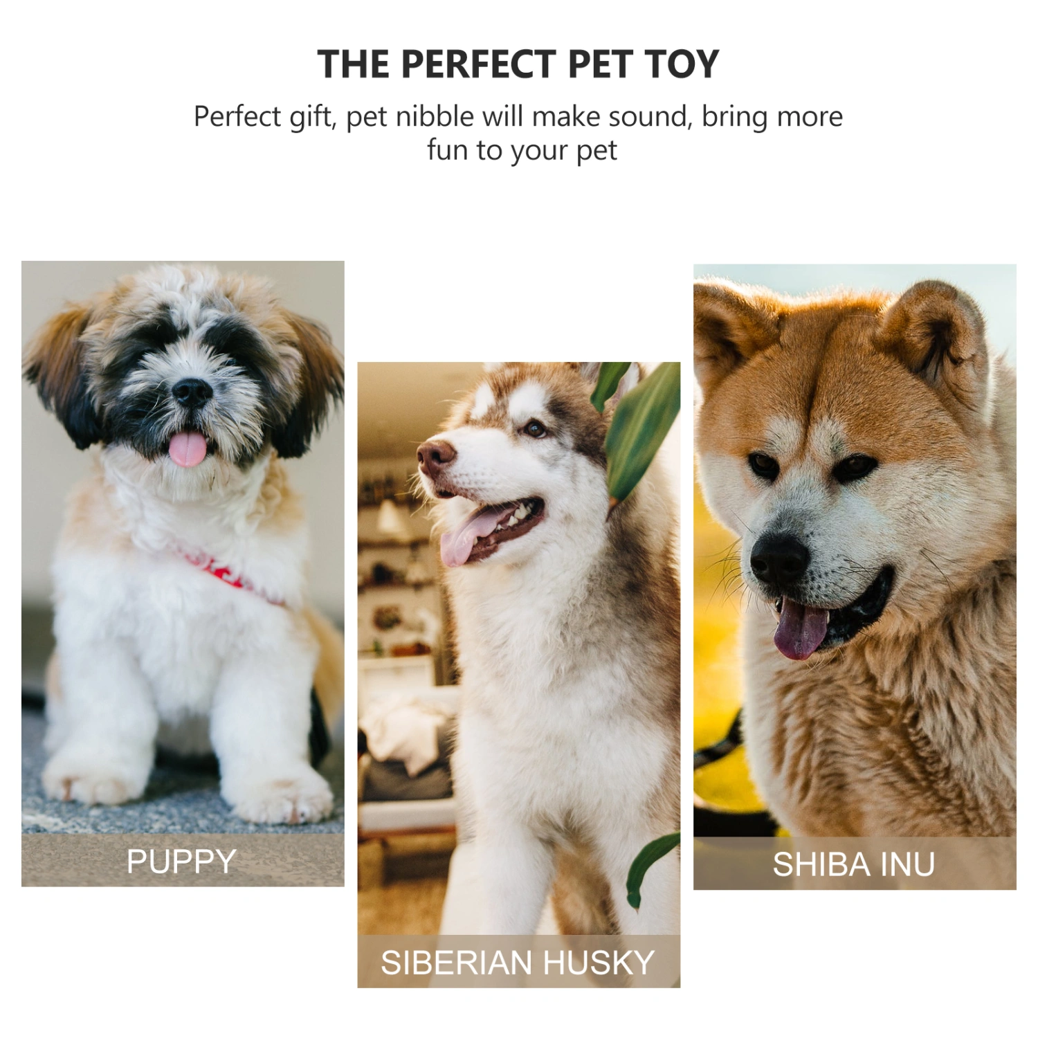 4Pcs Squeaky Plush Dog Toy Chewing Plaything Hide and Seek Activity for Dogs