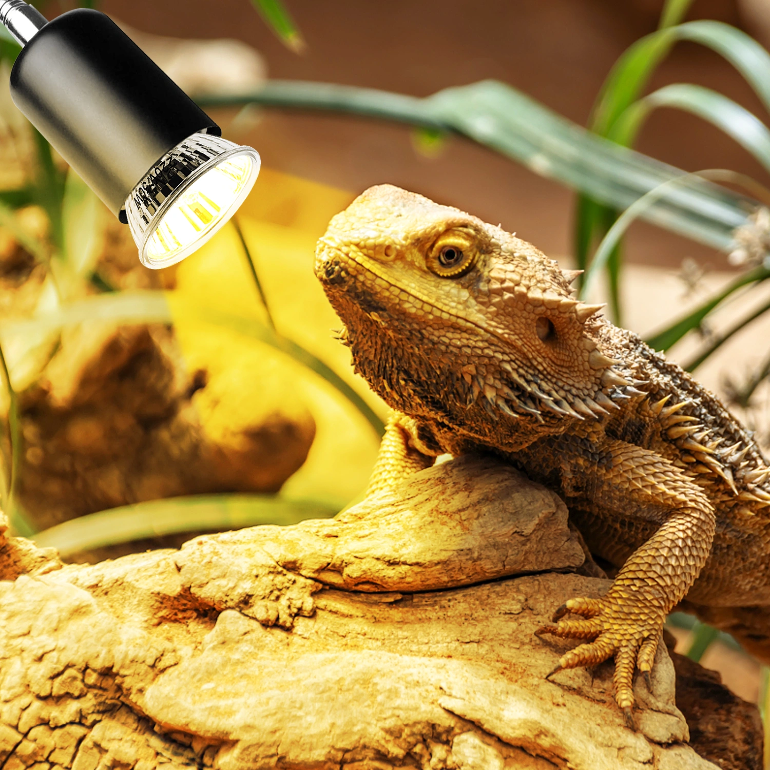 3pcs 50W UVA UVB Full Spectrum Sun Lamp Sunbathe Heat Light for Lizard Reptiles Amphibians (Silver)