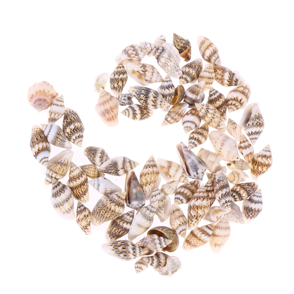 250PCS Small Conch Home Decoration Natural Seashell Decor Crafts Fish Tank Aquarium Boutique Decoration