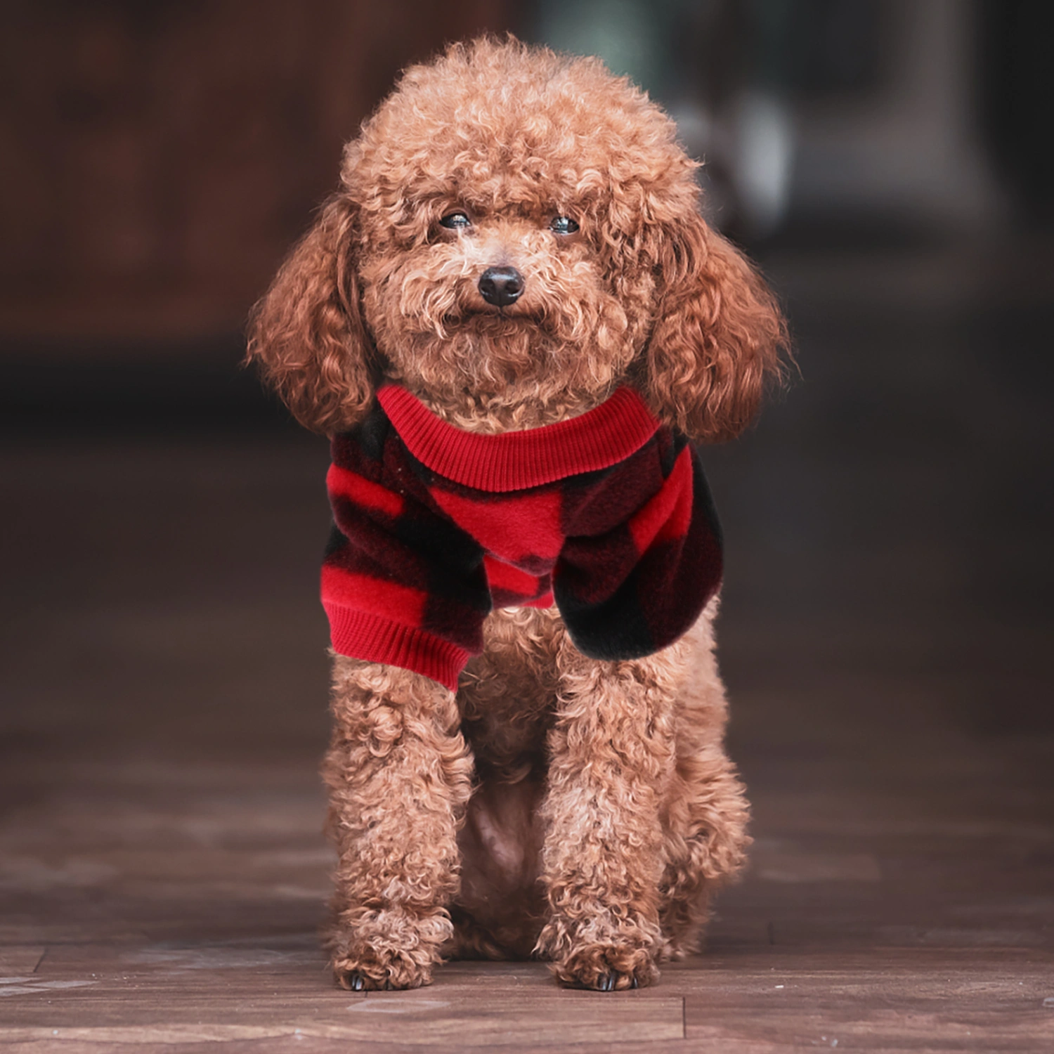  Small Dog Sweater Fleece Vest Winter Jacket Puppy Cold Weather Clothes Windproof (S)