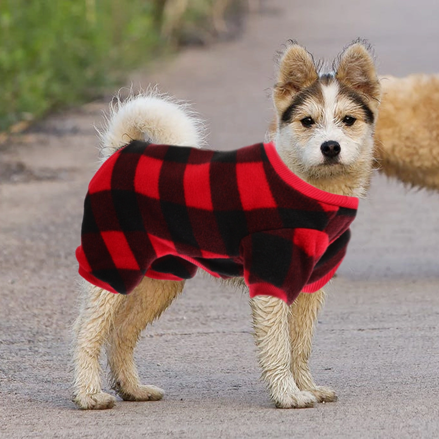  Small Dog Sweater Fleece Vest Winter Jacket Puppy Cold Weather Clothes Windproof (S)
