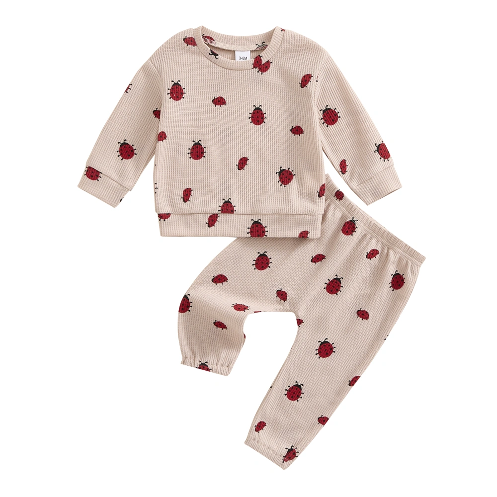 Toddler Girls Fall Outfits Ladybug Print Sweatshirt and Sweatpants Set