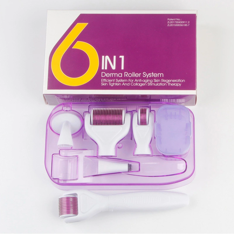 Microneedle Roller Kit 6 in 1 Microneedling Rolling System Face Roller