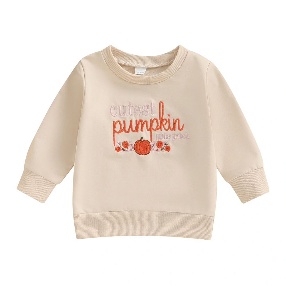 Boys Halloween Clothes Long Sleeve Letter Pumpkin Embroidery Pullover