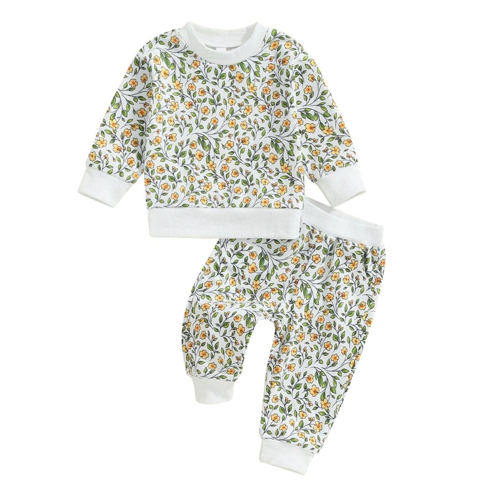 Baby Girls 2-piece Outfit, Floral Long Sleeve Sweatshirt with Pants