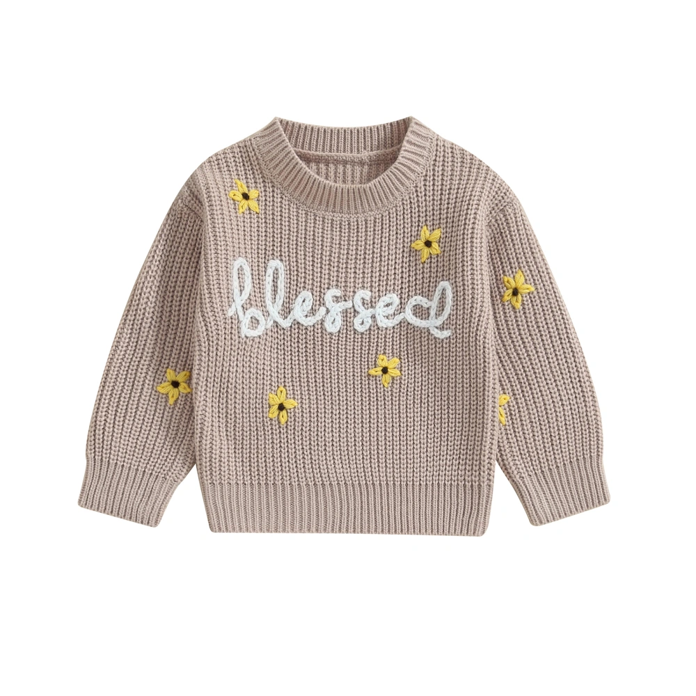 Baby Girl Sweater Long Sleeve Round Neck Floral Embroidery Pullover