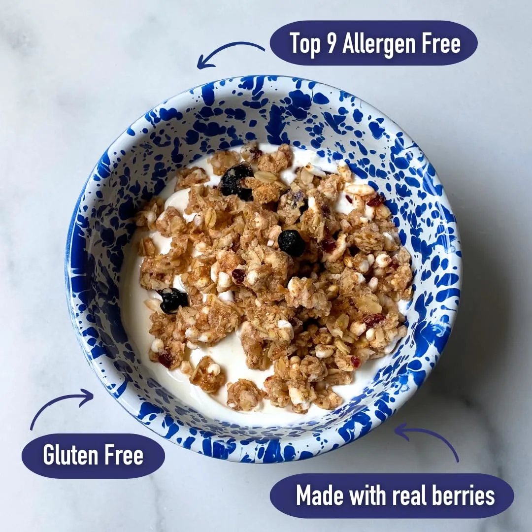 Safe + Fair All American Granola – Gluten-Free & Vegan Snack – Whole Grain Oats with Real Strawberries, Blueberries, and Cranberries – Non-GMO, Kosher, No Preservatives - 12oz