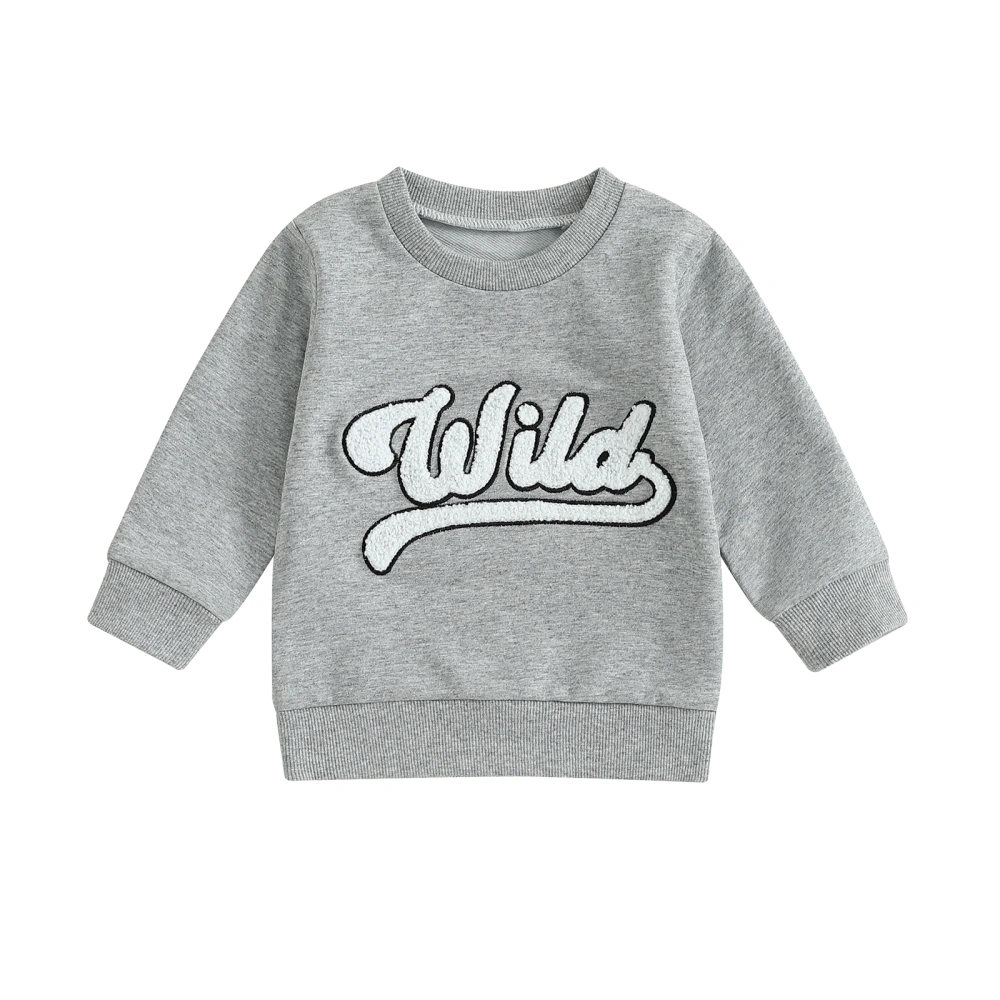 Kids Boys Sweatshirts Fuzzy Letter Embroidered Crew Neck Pullover