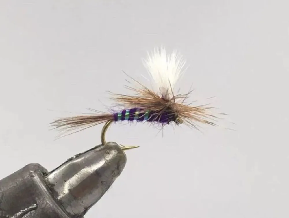 One Dozen (12) - Compara Wulff - Purple - Dry Fly 18